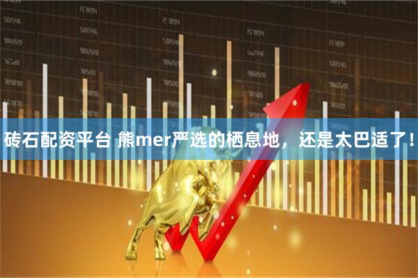 砖石配资平台 熊mer严选的栖息地，还是太巴适了！