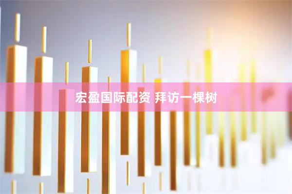 宏盈国际配资 拜访一棵树