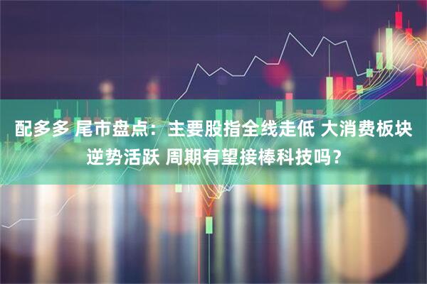 配多多 尾市盘点：主要股指全线走低 大消费板块逆势活跃 周期有望接棒科技吗？
