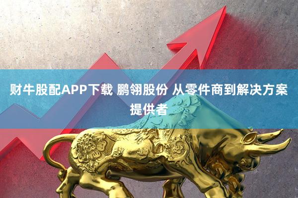 财牛股配APP下载 鹏翎股份 从零件商到解决方案提供者