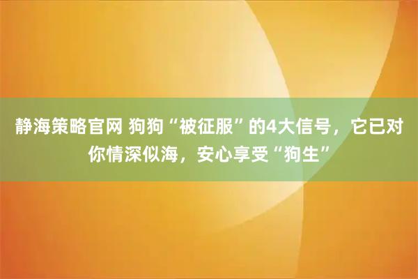静海策略官网 狗狗“被征服”的4大信号，它已对你情深似海，安心享受“狗生”