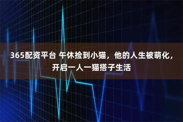 365配资平台 午休捡到小猫，他的人生被萌化，开启一人一猫搭子生活