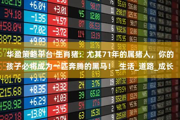 华盈策略平台 生肖猪：尤其71年的属猪人，你的孩子必将成为一匹奔腾的黑马！_生活_道路_成长