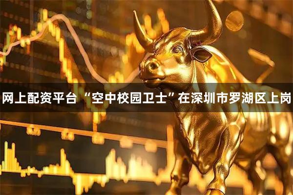 网上配资平台 “空中校园卫士”在深圳市罗湖区上岗