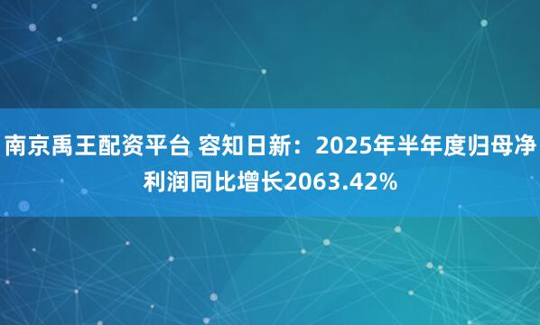 南京禹王配资平台 容知日新：2025年半年度归母净利润同比增长2063.42%